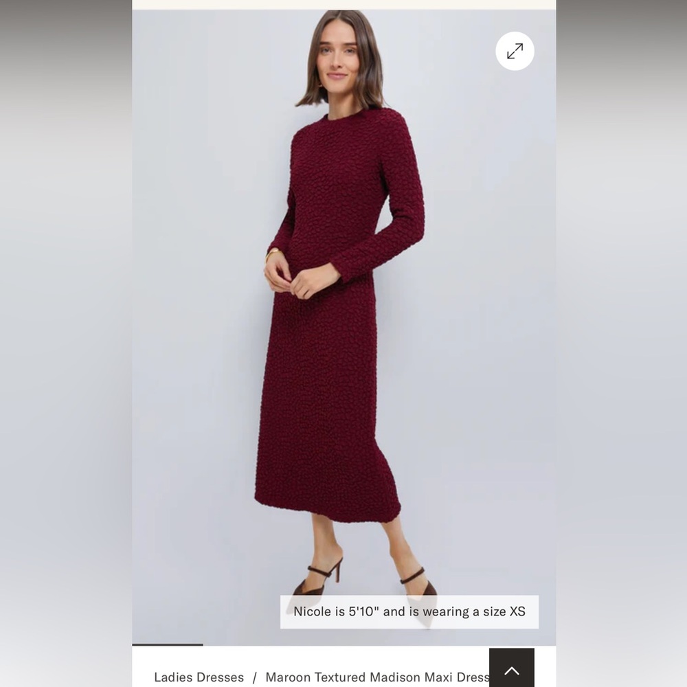 NWT Hyacinth House Dress